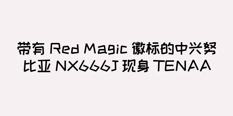 带有 Red Magic 徽标的中兴努比亚 NX666J 现身 TENAA
