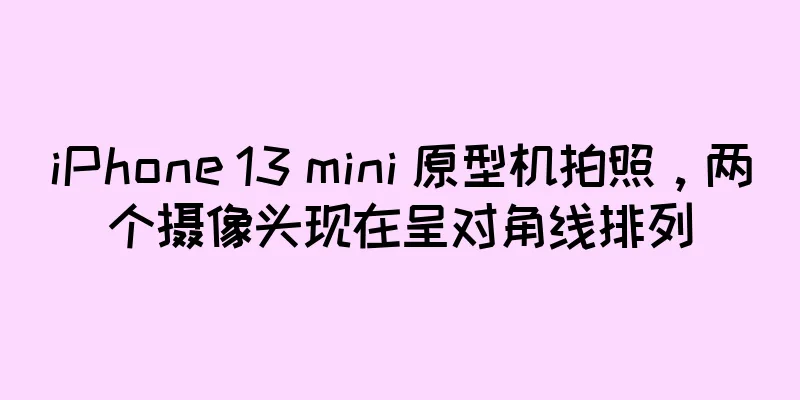 iPhone 13 mini 原型机拍照，两个摄像头现在呈对角线排列