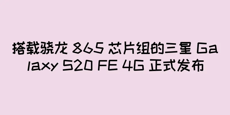 搭载骁龙 865 芯片组的三星 Galaxy S20 FE 4G 正式发布