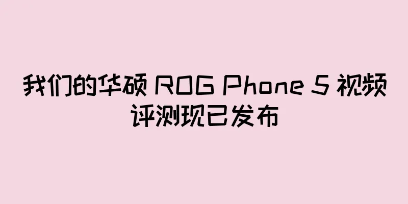 我们的华硕 ROG Phone 5 视频评测现已发布