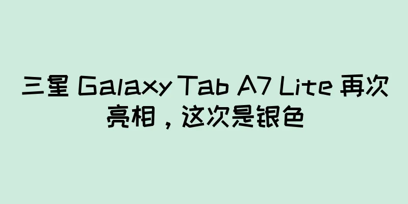 三星 Galaxy Tab A7 Lite 再次亮相，这次是银色