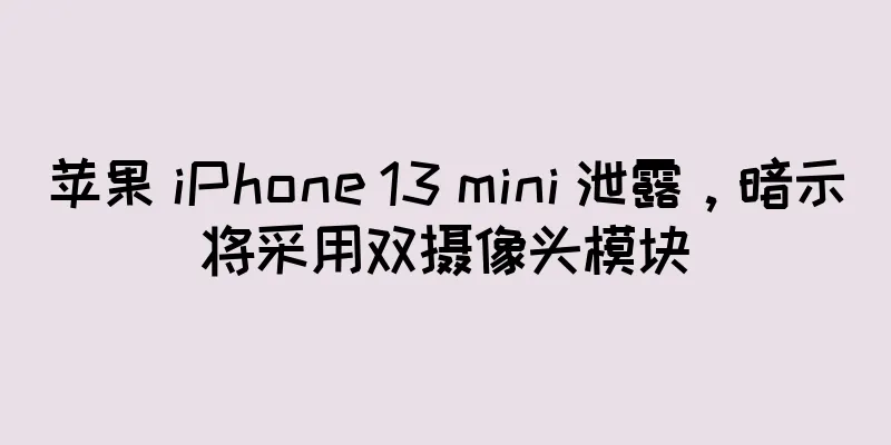 苹果 iPhone 13 mini 泄露，暗示将采用双摄像头模块