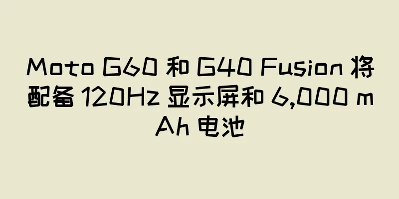 Moto G60 和 G40 Fusion 将配备 120Hz 显示屏和 6,000 mAh 电池