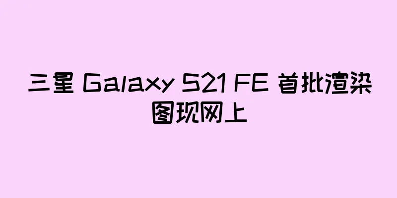 三星 Galaxy S21 FE 首批渲染图现网上