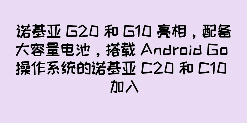 诺基亚 G20 和 G10 亮相，配备大容量电池，搭载 Android Go 操作系统的诺基亚 C20 和 C10 加入