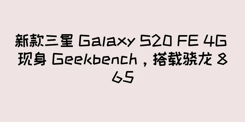 新款三星 Galaxy S20 FE 4G 现身 Geekbench，搭载骁龙 865