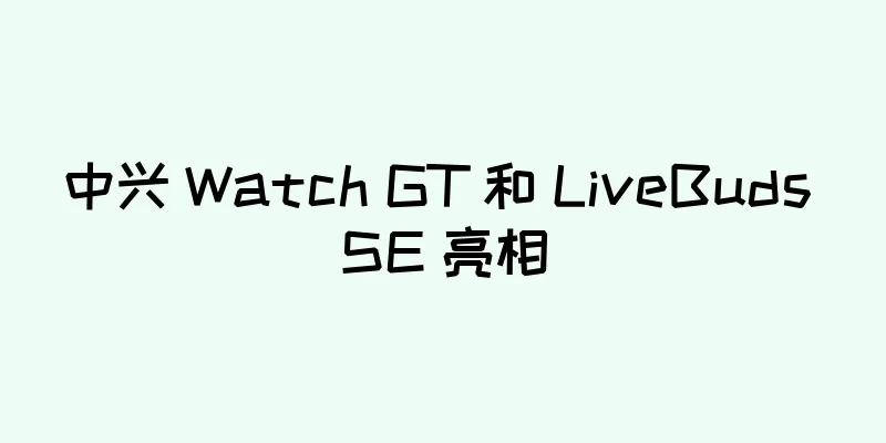 中兴 Watch GT 和 LiveBuds SE 亮相