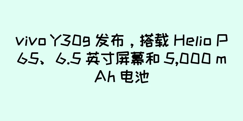 vivo Y30g 发布，搭载 Helio P65、6.5 英寸屏幕和 5,000 mAh 电池
