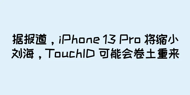 据报道，iPhone 13 Pro 将缩小刘海，TouchID 可能会卷土重来
