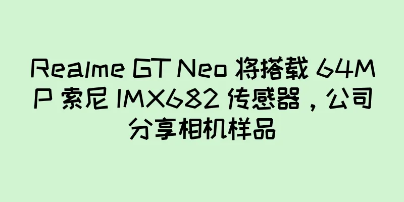 Realme GT Neo 将搭载 64MP 索尼 IMX682 传感器，公司分享相机样品