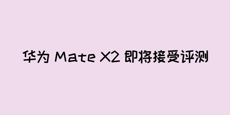 华为 Mate X2 即将接受评测