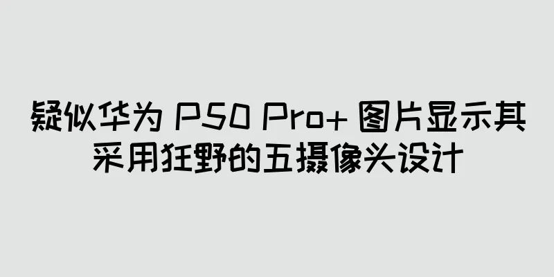 疑似华为 P50 Pro+ 图片显示其采用狂野的五摄像头设计