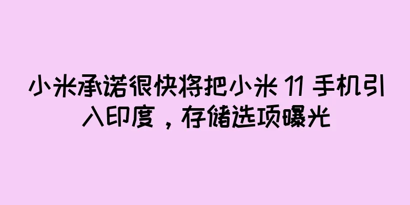 小米承诺很快将把小米 11 手机引入印度，存储选项曝光