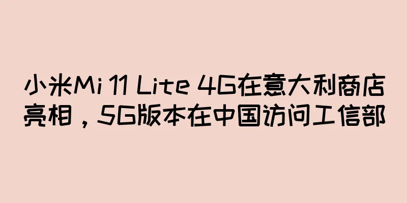 小米Mi 11 Lite 4G在意大利商店亮相，5G版本在中国访问工信部