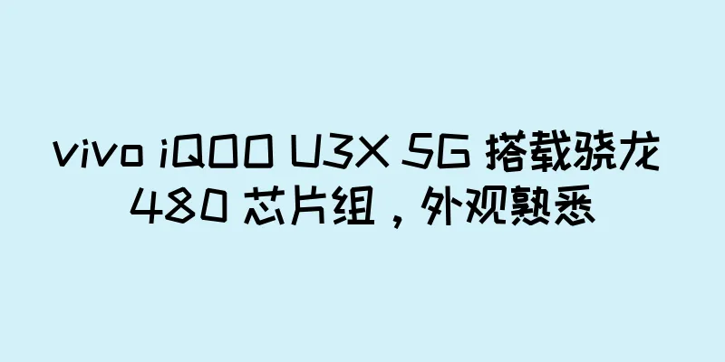 vivo iQOO U3X 5G 搭载骁龙 480 芯片组，外观熟悉