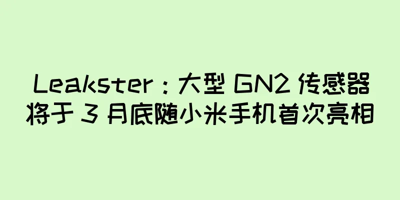Leakster：大型 GN2 传感器将于 3 月底随小米手机首次亮相