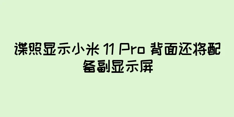 谍照显示小米 11 Pro 背面还将配备副显示屏