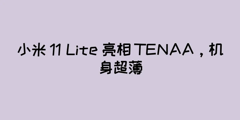 小米 11 Lite 亮相 TENAA，机身超薄