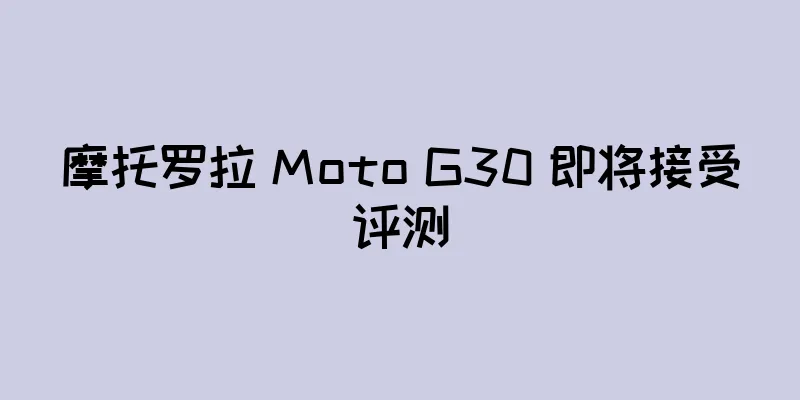 摩托罗拉 Moto G30 即将接受评测