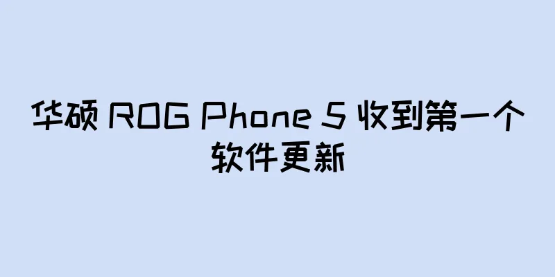 华硕 ROG Phone 5 收到第一个软件更新
