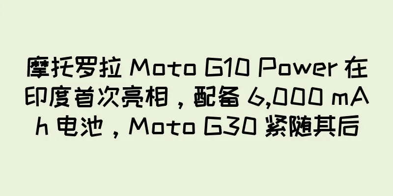 摩托罗拉 Moto G10 Power 在印度首次亮相，配备 6,000 mAh 电池，Moto G30 紧随其后