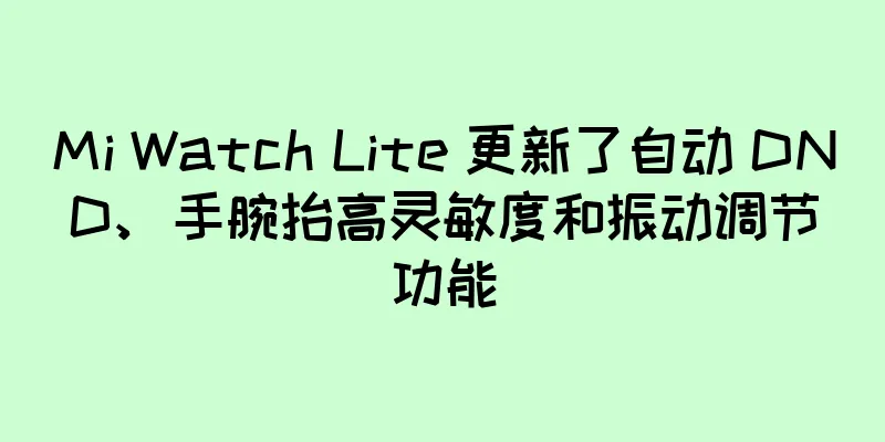 Mi Watch Lite 更新了自动 DND、手腕抬高灵敏度和振动调节功能