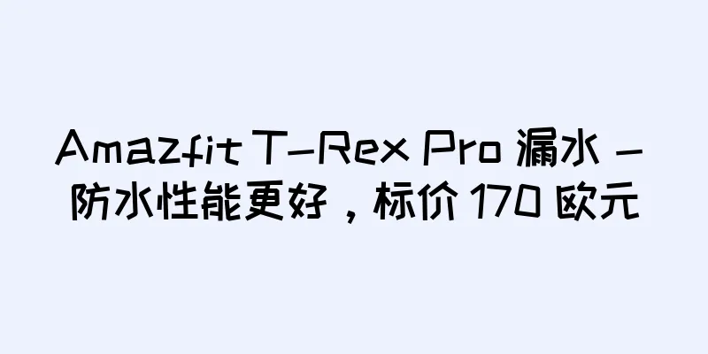 Amazfit T-Rex Pro 漏水 - 防水性能更好，标价 170 欧元