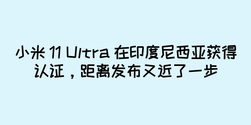 小米 11 Ultra 在印度尼西亚获得认证，距离发布又近了一步