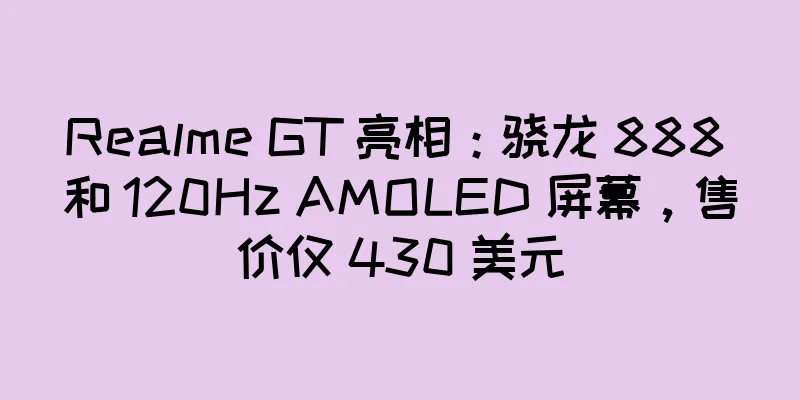 Realme GT 亮相：骁龙 888 和 120Hz AMOLED 屏幕，售价仅 430 美元