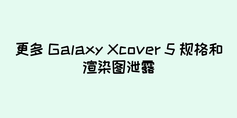 更多 Galaxy Xcover 5 规格和渲染图泄露