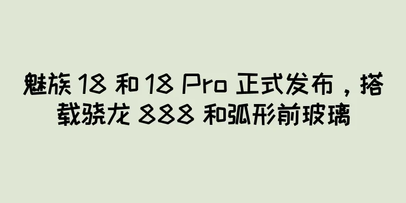 魅族 18 和 18 Pro 正式发布，搭载骁龙 888 和弧形前玻璃