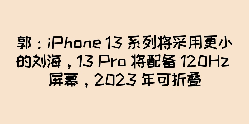 郭：iPhone 13 系列将采用更小的刘海，13 Pro 将配备 120Hz 屏幕，2023 年可折叠