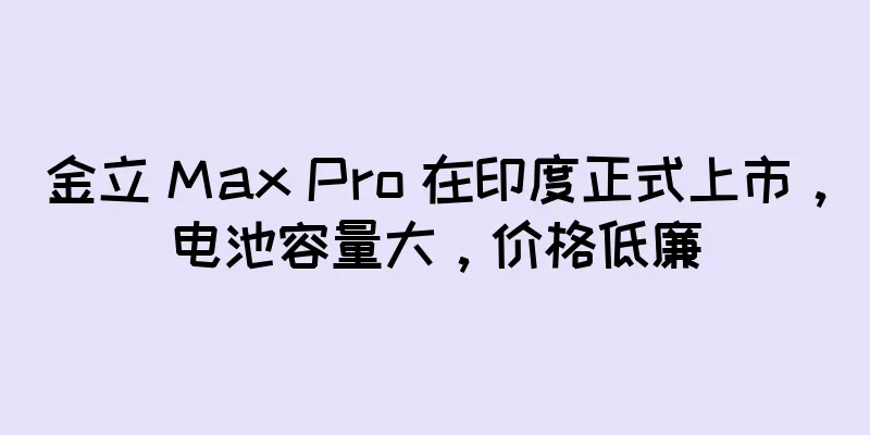 金立 Max Pro 在印度正式上市，电池容量大，价格低廉