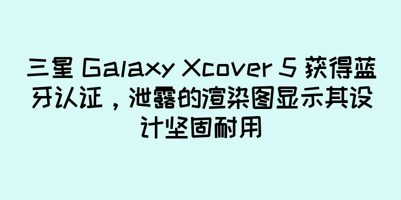 三星 Galaxy Xcover 5 获得蓝牙认证，泄露的渲染图显示其设计坚固耐用