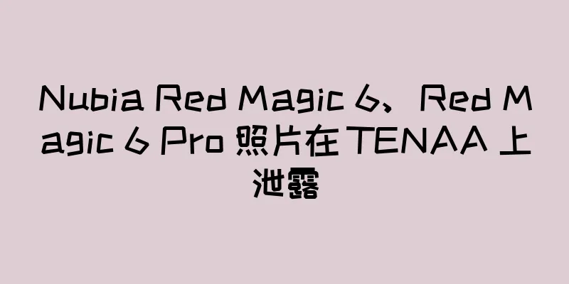 Nubia Red Magic 6、Red Magic 6 Pro 照片在 TENAA 上泄露