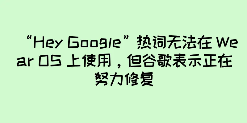 “Hey Google”热词无法在 Wear OS 上使用，但谷歌表示正在努力修复