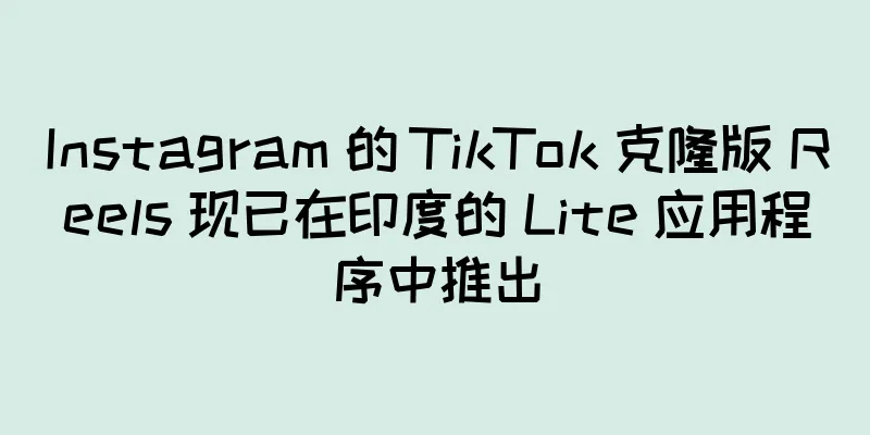 Instagram 的 TikTok 克隆版 Reels 现已在印度的 Lite 应用程序中推出