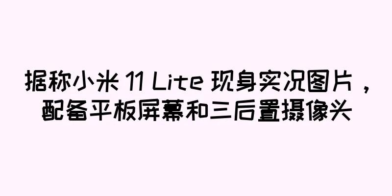 据称小米 11 Lite 现身实况图片，配备平板屏幕和三后置摄像头