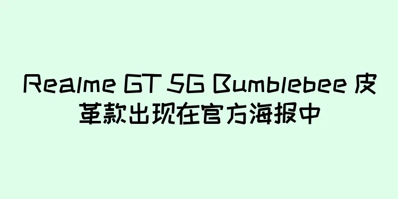 Realme GT 5G Bumblebee 皮革款出现在官方海报中