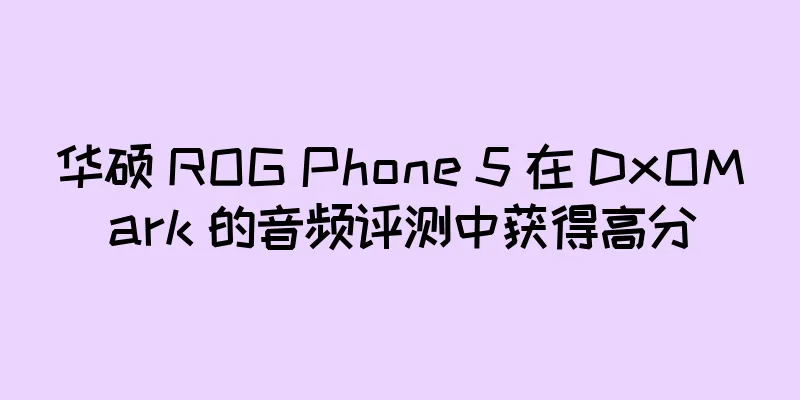 华硕 ROG Phone 5 在 DxOMark 的音频评测中获得高分