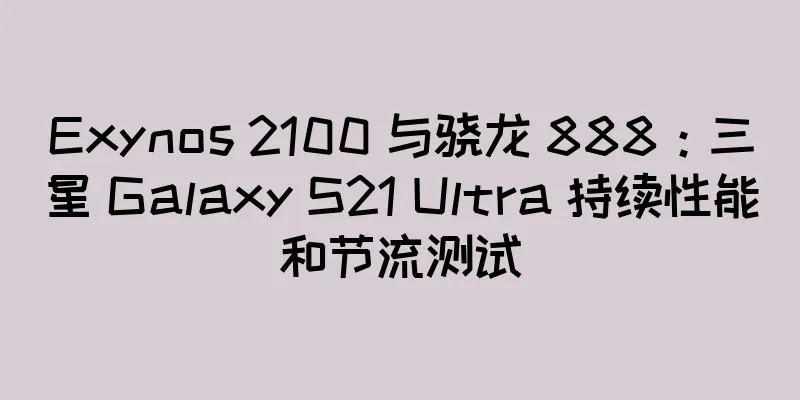 Exynos 2100 与骁龙 888：三星 Galaxy S21 Ultra 持续性能和节流测试