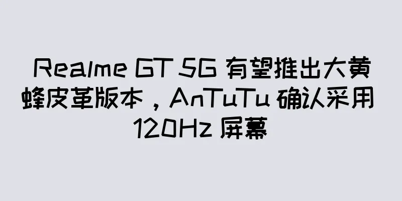 Realme GT 5G 有望推出大黄蜂皮革版本，AnTuTu 确认采用 120Hz 屏幕
