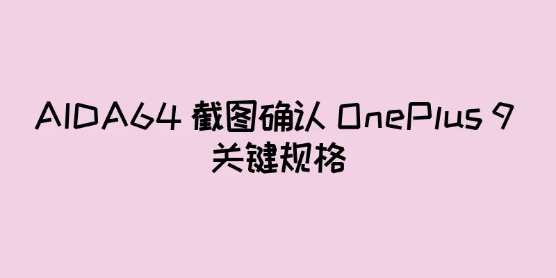 AIDA64 截图确认 OnePlus 9 关键规格