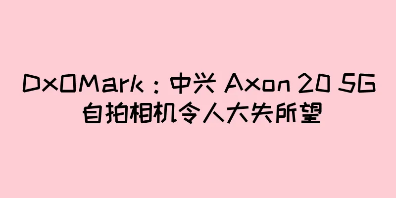 DxOMark：中兴 Axon 20 5G 自拍相机令人大失所望