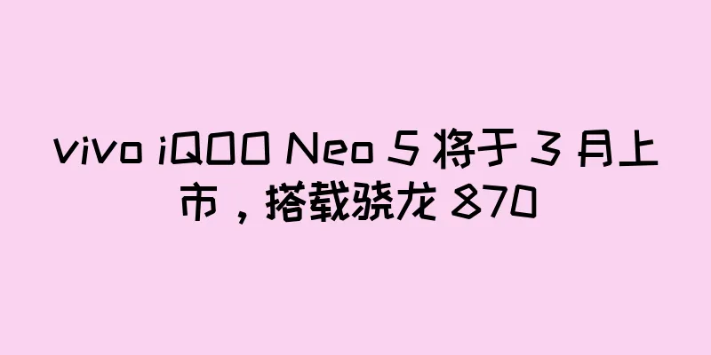 vivo iQOO Neo 5 将于 3 月上市，搭载骁龙 870