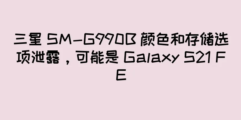 三星 SM-G990B 颜色和存储选项泄露，可能是 Galaxy S21 FE