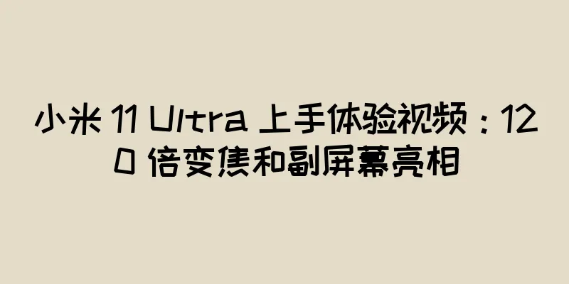 小米 11 Ultra 上手体验视频：120 倍变焦和副屏幕亮相