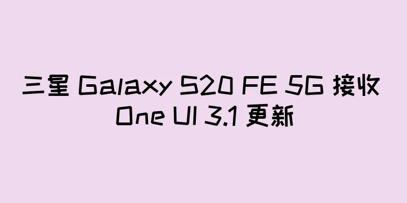 三星 Galaxy S20 FE 5G 接收 One UI 3.1 更新