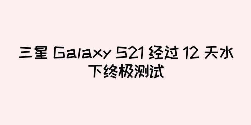 三星 Galaxy S21 经过 12 天水下终极测试