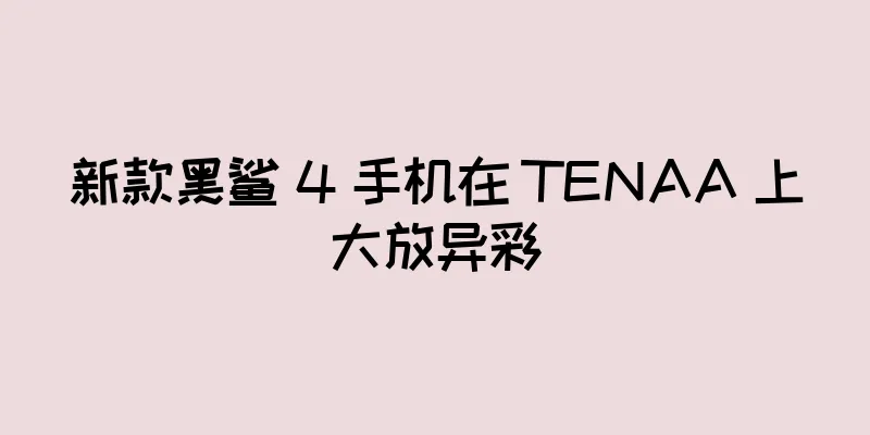新款黑鲨 4 手机在 TENAA 上大放异彩